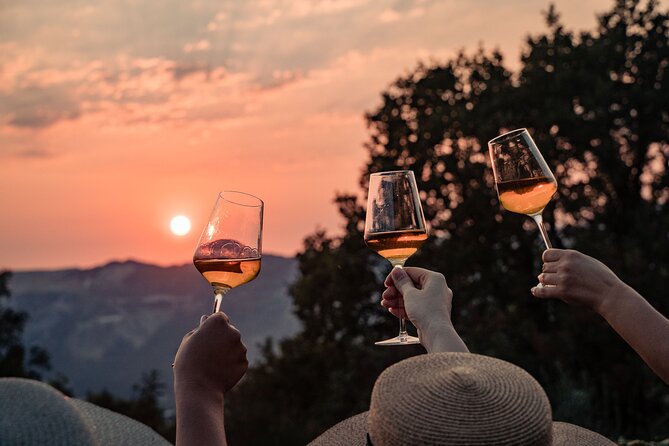 Sunset wine tasting in vineyard - Key points to know before you book