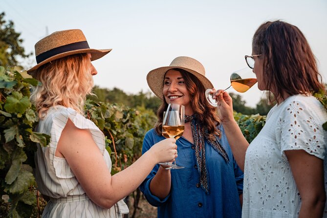 Sunset wine tasting in vineyard - A small vineyard far above Dubrovnik