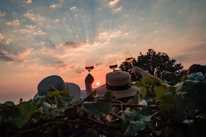 Sunset wine tasting in vineyard - Timing, pickup, and cancellation details