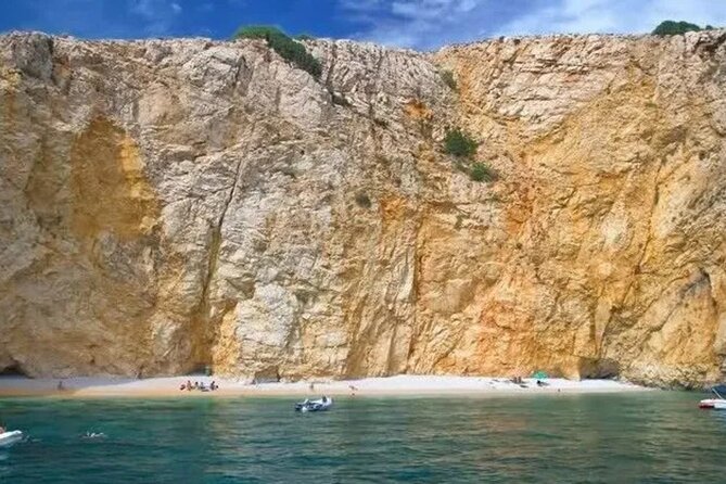 Swimming and Snorkeling on the Wild Bays 3.5 Hours (PUBLIC) - Key points to know before you book