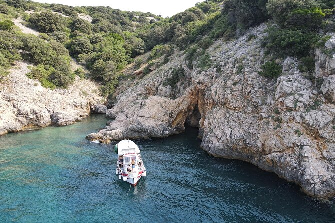 Swimming and Snorkeling on the Wild Bays 3.5 Hours (PUBLIC) - Captain Bobo’s role in the experience