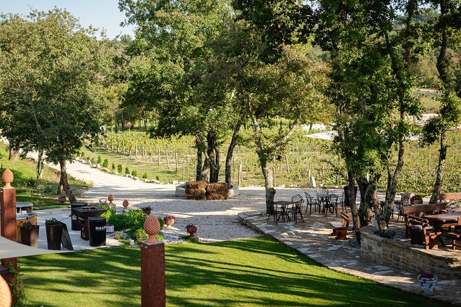 Taste of Istria - wine, brandy, vinegar, local food - What the hosts add to the visit