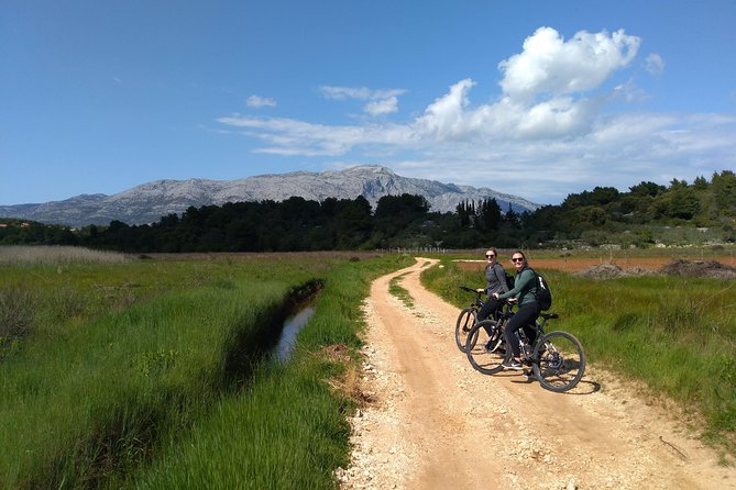 Taste of Korcula by Bike Tour | Korcula Wine & Food Tasting - Cycling through Lumbarda’s vineyards and olive groves