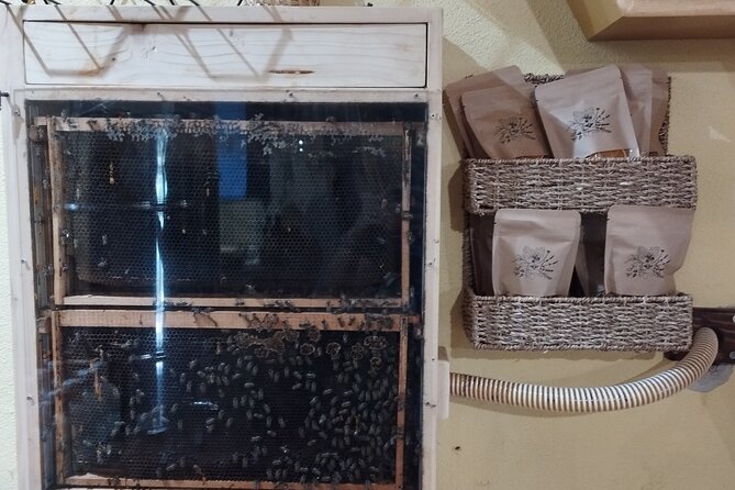Taste of Korcula Tour | Korcula Wine & Food Tasting - Honey, bees, and Korcula gin in Korcula Town
