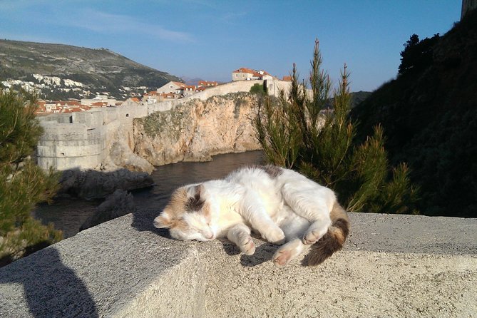 Tour The Game of Throne - Private Driving Tour - Why this tour leaves Dubrovnik’s walls