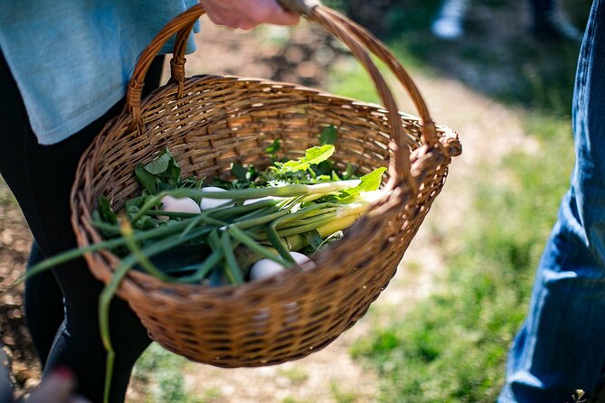 Traditional Cooking Class in Dubrovnik Countryside - Group size, timing, and practical comfort