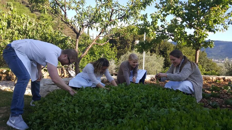 Traditional Dalmatian Cooking Class from Dubrovnik - Key things to know before booking