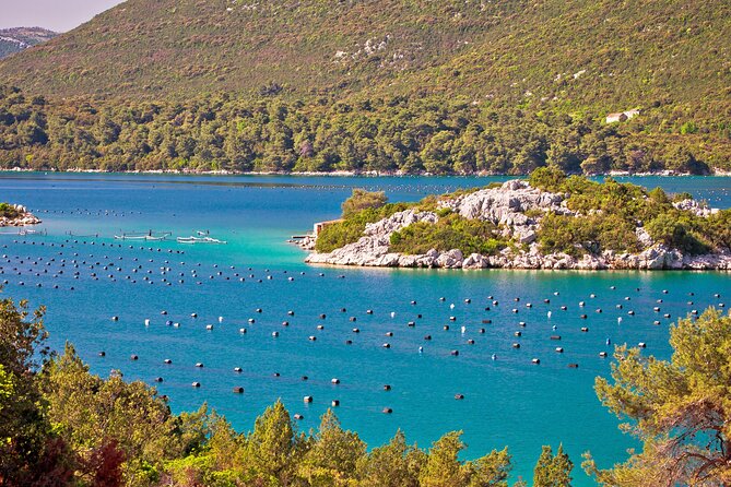Transfer Dubrovnik to Split with Sightseeing in Ston Town - The old center and a taste of Ston