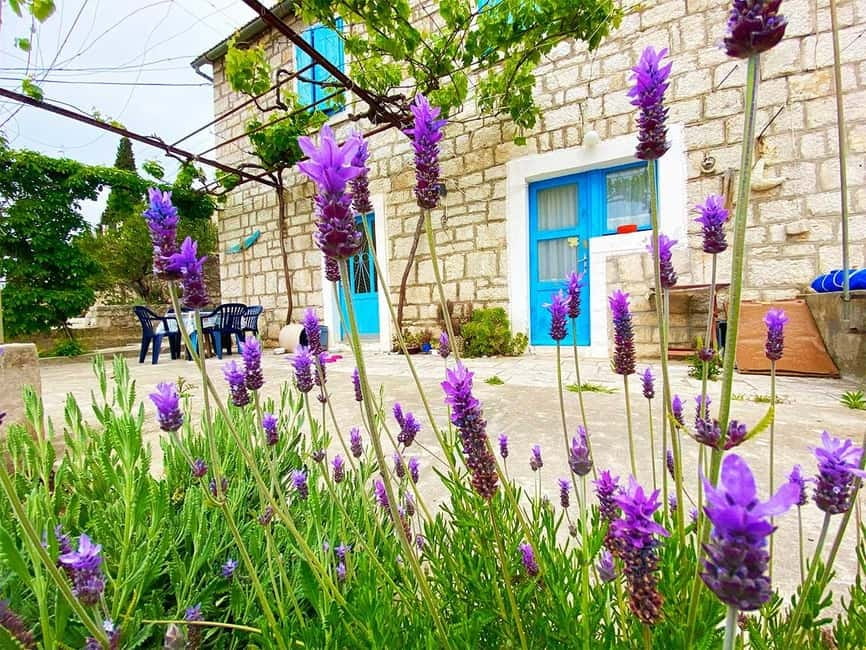 Trogir: Blue Lagoon, Maslinica, and Solinska Bay Boat Tour - Is $68 a fair price?