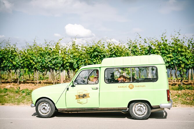 Truffle hunting & cooking tour - What happens when a dog finds a truffle