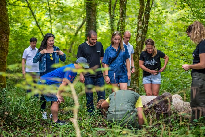 Truffle hunting & cooking tour - Daylight or night hunting