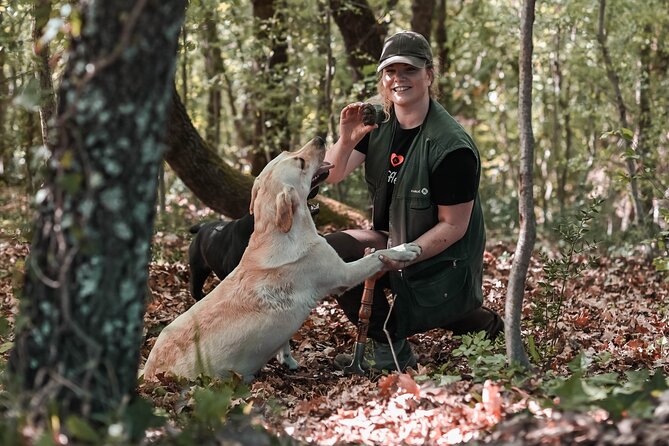 Truffle hunting & cooking tour - Walking with Lily, Dalma, and the other dogs