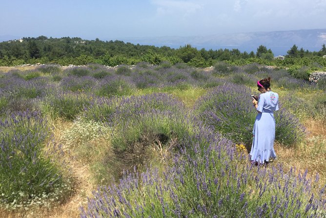 Tuk Tuk Sightseeing Tour of Hvar - Velo Grablje connects Hvar with lavender