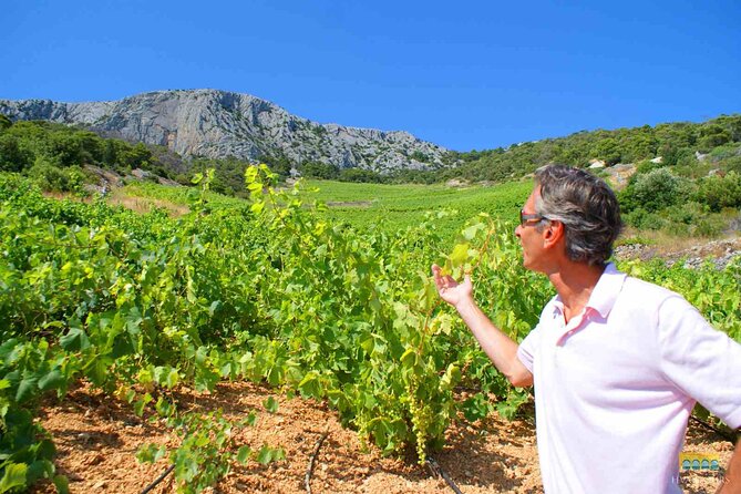 Twice the Wine - Two wineries half day tour, with delicacies - Two wineries, two sides of Hvar wine