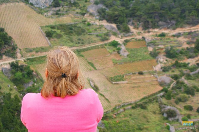 Twice the Wine - Two wineries half day tour, with delicacies - Who will enjoy this Hvar afternoon?