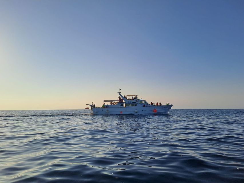 Umag: Sunset Cruise with Dolphin Spotting - Passing Savudrija lighthouse by boat