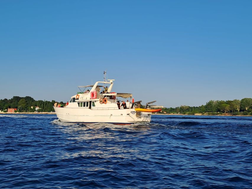 Umag: Sunset Cruise with Dolphin Spotting - Searching for dolphins along the northern Croatian coast