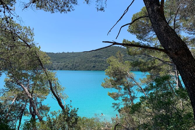 Visit magical Mljet Island with private speedboat - Who will get the most from this private trip