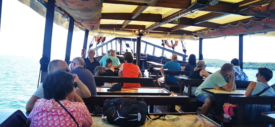Vrsar: Dolphin Watching Boat Ride - Practical Tips for a Better Outing