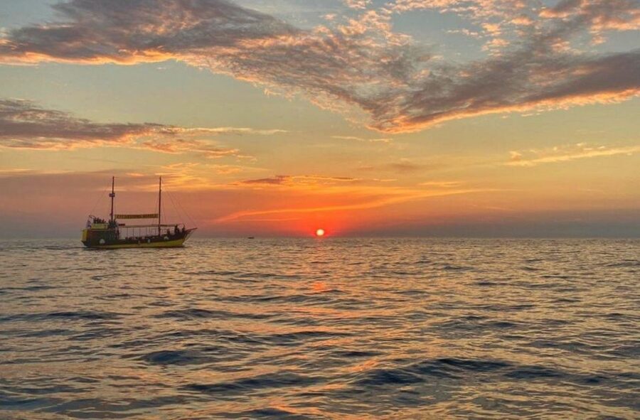 Vrsar: Dolphin Watching Boat Tour including Drinks - Key points to know before you sail