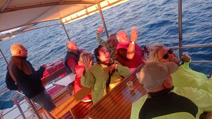 Vrsar: Dolphin Watching Boat Tour including Drinks - Final verdict: a simple evening with strong wildlife odds