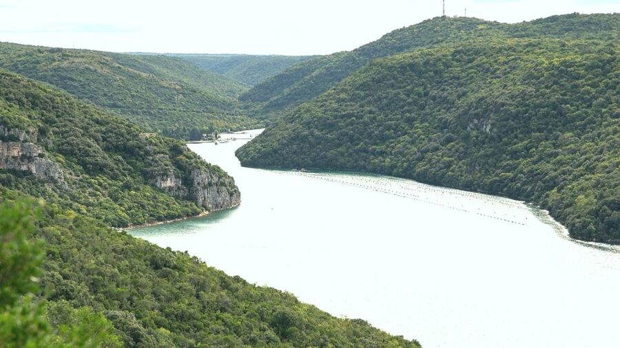 Vrsar: Lim Fjord Boat Tour with Swimming near Pirate's Cave - Is $29 a fair price?