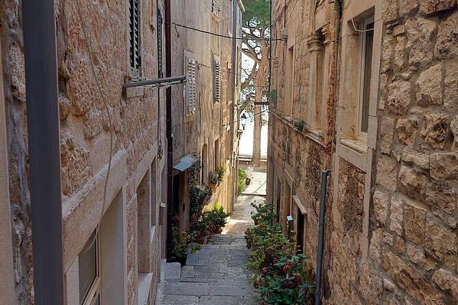 Walking Tour in old town Korcula 1 Hour - Price and value for a private group