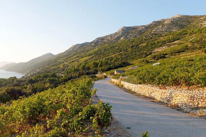 Wine Lover's Tour of Peljesac Peninsula - Ston gives the wine day a useful historic stop