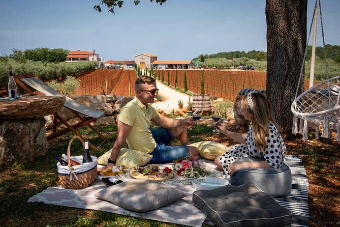 Wine picnic - Key points at a glance