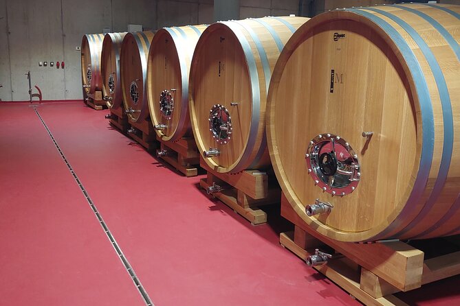 Wine tour Peljesac - Boljenovići Ponikve: wines with local character
