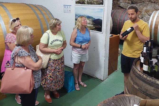 Wine tour Peljesac - Pickup, timing, and group size