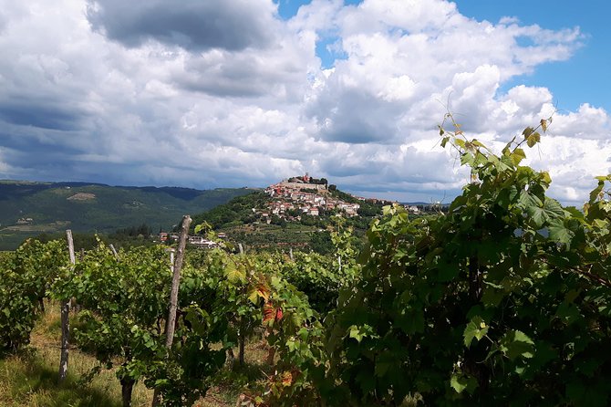 Wine Tour - The Best of Istria - A Full Day Built Around Istrian Wine