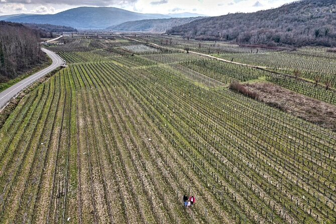 Winery Tour and Tasting with the Sommelier in KRK - Starting at Kuća vina Ivan Katunar in Vrbnik