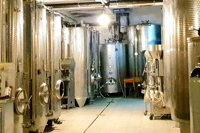 Winery Tour and Tasting with the Sommelier in KRK - Who should book this Krk wine experience?
