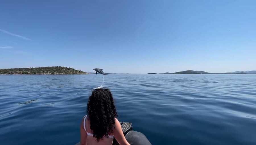 Zadar: 3-Island Speedboat Tour with Snorkeling and Drinks - Leaving Zadar from the Foša area