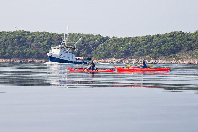 Zadar Archipelago 3 Islands Sea Kayaking Day Trip - Pebblestone Beaches and Snorkeling Stops