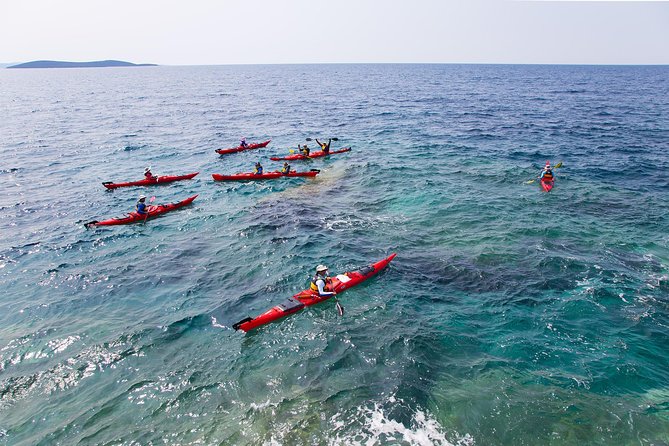Zadar Archipelago 3 Islands Sea Kayaking Day Trip - Packing and Planning Tips for Molat