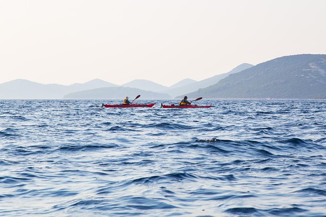 Zadar Archipelago 3 Islands Sea Kayaking Day Trip - Your First Lesson on the Water