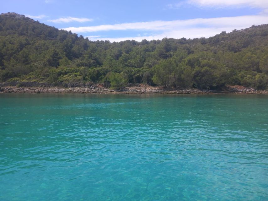Zadar: Boat tour Half day -Private - Ugljan villages and the choice of a local stop