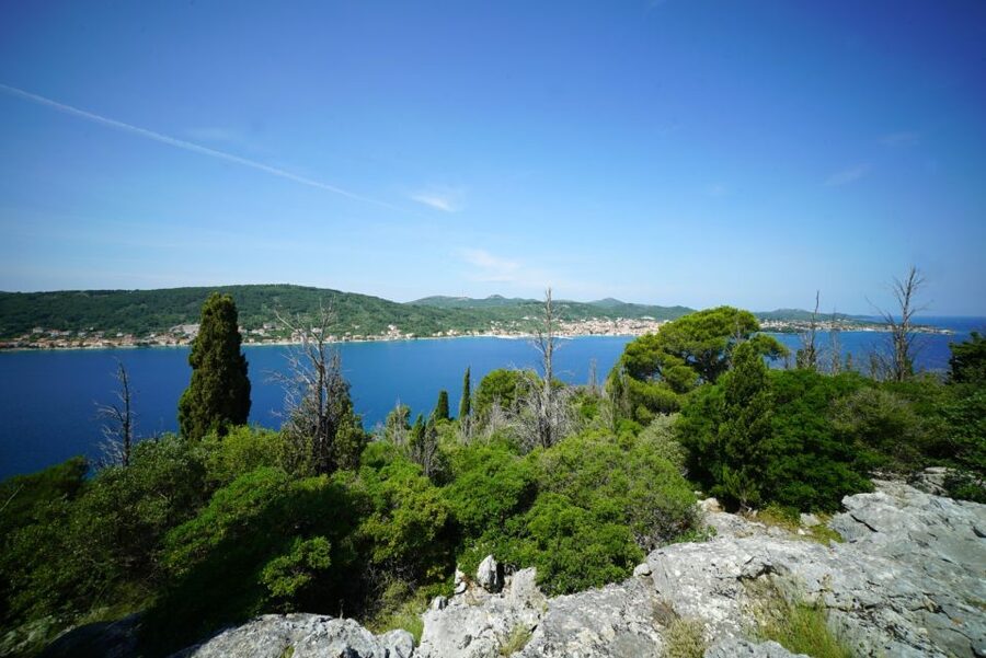Zadar: Guided Tour to Ugljan, Osljak, & Galevac by Speedboat - Practical advice for a smoother four hours