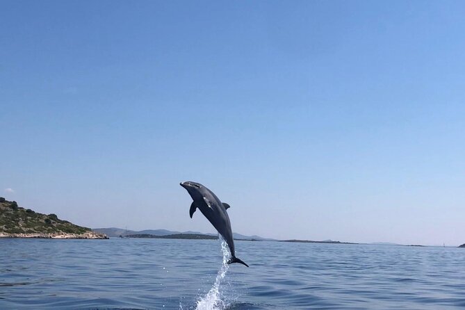 Zadar: Island Luxury Speedboat Tour with Snorkeling - Preko is the easiest place to eat and wander