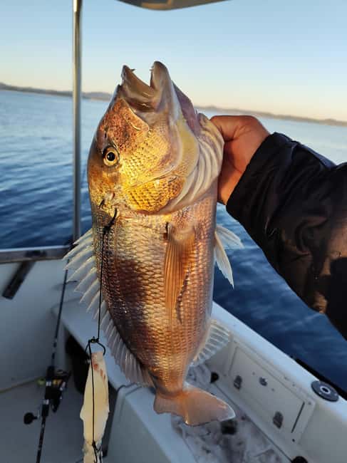 Zadar: Sunset Fishing Half-Day Guided Boat Trip - Swimming, snorkeling, and the sunset break