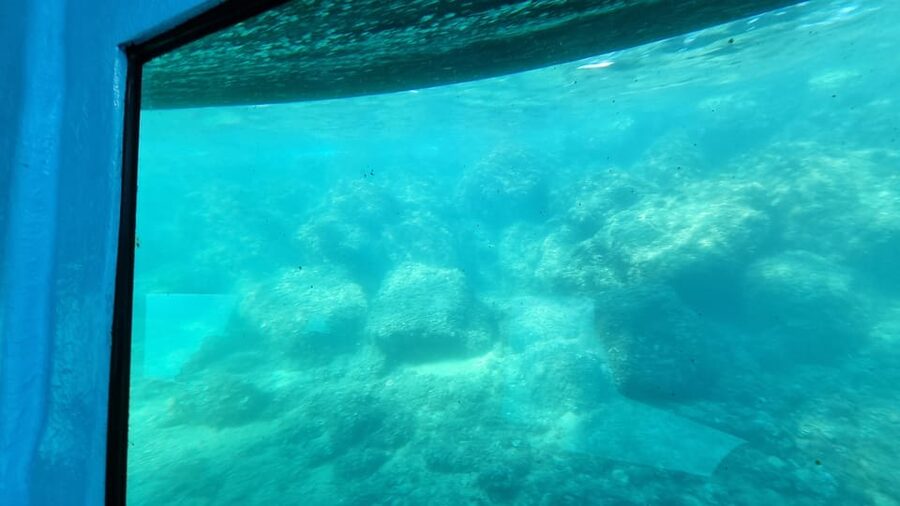 Zadar: Yellow Semi-Submarine Underwater Exploration Tour - What you see during the 45-minute cruise