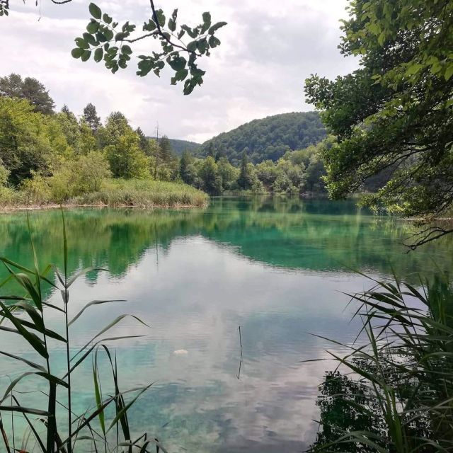 Zagreb to Split: Private Transfer with Plitvice Lakes - The panoramic train and a carefully timed visit